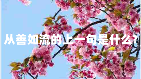 從善如流的上一句是什么?