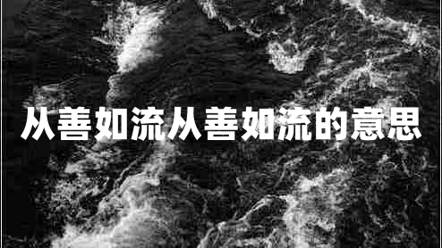 從善如流從善如流的意思