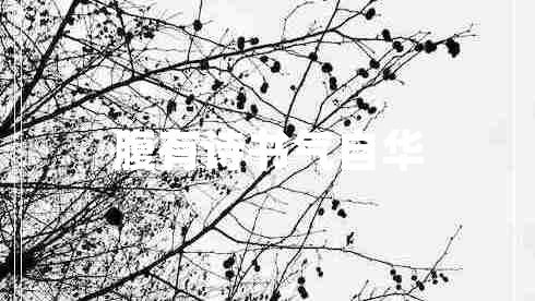 腹有詩書氣自華