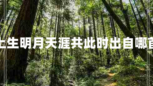 海上生明月天涯共此時出自哪首詩