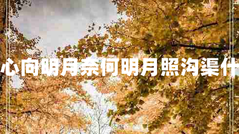 我本將心向明月奈何明月照溝渠什么意思 我本將心向明月奈何明月照溝渠什么意思