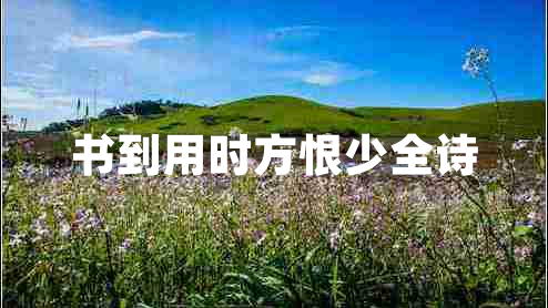 書到用時(shí)方恨少全詩