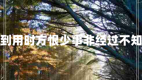 書(shū)到用時(shí)方恨少事非經(jīng)過(guò)不知難