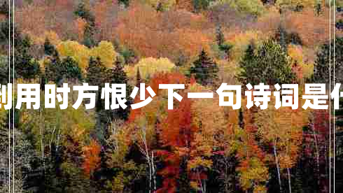 書(shū)到用時(shí)方恨少下一句詩(shī)詞是什么
