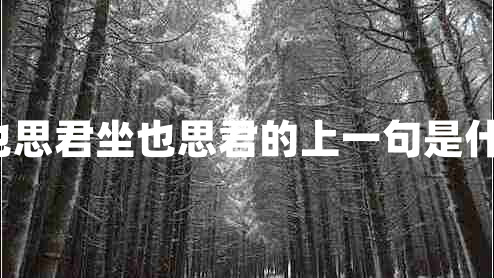 行也思君坐也思君的上一句是什么?