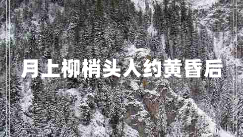 月上柳梢頭人約黃昏后 月上柳梢頭人約黃昏后