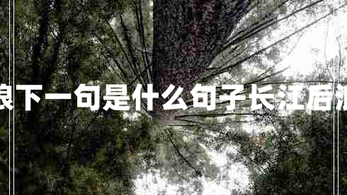 長(zhǎng)江后浪推前浪下一句是什么句子長(zhǎng)江后浪推前浪下一句