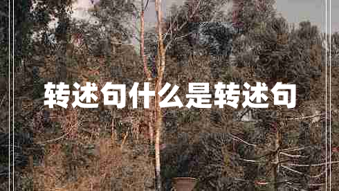 轉(zhuǎn)述句什么是轉(zhuǎn)述句