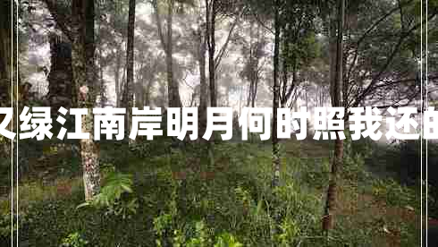 春風(fēng)又綠江南岸明月何時照我還的意思