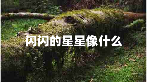 閃閃的星星像什么