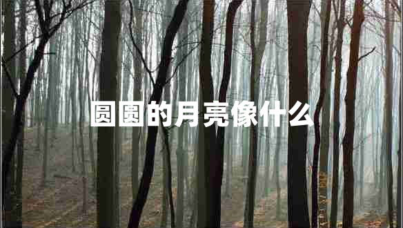 圓圓的月亮像什么 圓圓的月亮像什么