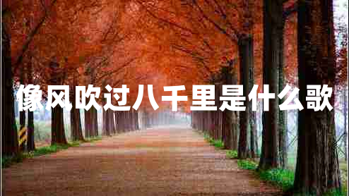 像風(fēng)吹過八千里是什么歌 像風(fēng)吹過八千里是什么歌