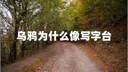 烏鴉為什么像寫(xiě)字臺(tái)