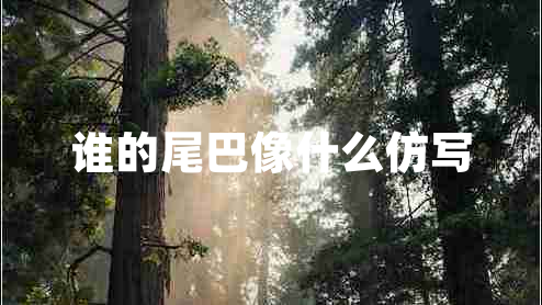 誰的尾巴像什么仿寫