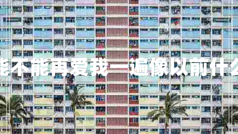 你能不能再愛我一遍像以前什么歌