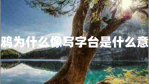 烏鴉為什么像寫字臺是什么意思