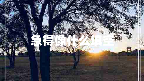 急得像什么填空