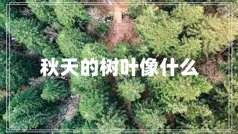 秋天的樹葉像什么 秋天的樹葉像什么