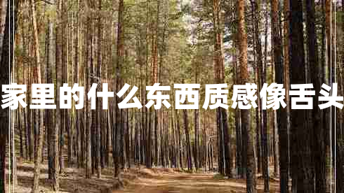 家里的什么東西質(zhì)感像舌頭 家里的什么東西質(zhì)感像舌頭