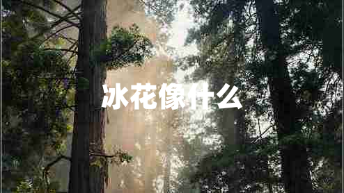 冰花像什么