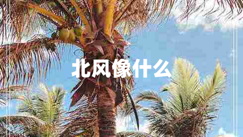 北風(fēng)像什么 北風(fēng)像什么