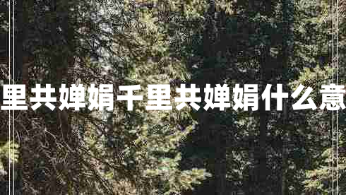 千里共嬋娟千里共嬋娟什么意思