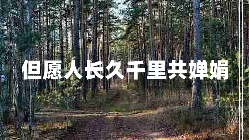 但愿人長(zhǎng)久千里共嬋娟 但愿人長(zhǎng)久千里共嬋娟