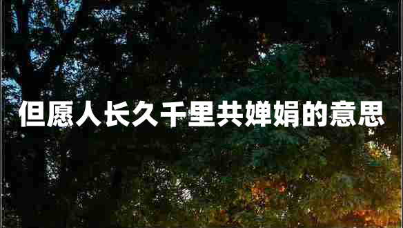 但愿人長(zhǎng)久千里共嬋娟的意思