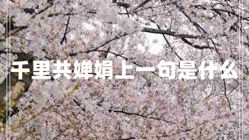 千里共嬋娟上一句是什么