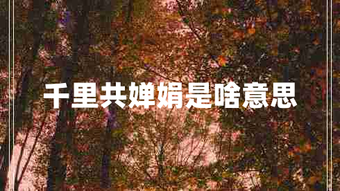 千里共嬋娟是啥意思 千里共嬋娟是啥意思