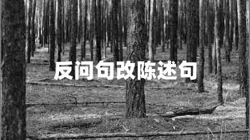 反問(wèn)句改陳述句