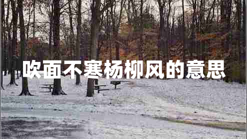 吹面不寒楊柳風(fēng)的意思