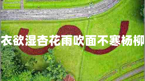 沾衣欲濕杏花雨吹面不寒楊柳風