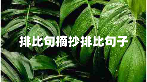 排比句摘抄排比句子 排比句摘抄排比句子