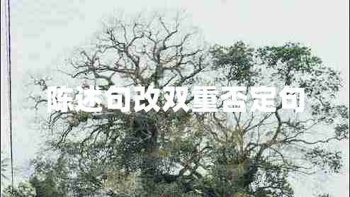 陳述句改雙重否定句 陳述句改雙重否定句