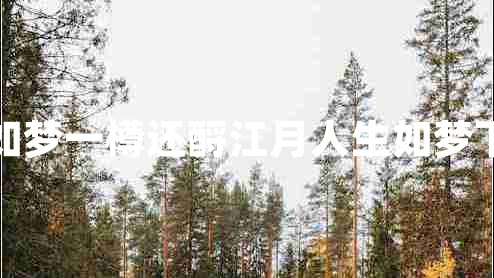 人生如夢(mèng)一樽還酹江月人生如夢(mèng)下一句 人生如夢(mèng)一樽還酹江月人生如夢(mèng)下一句