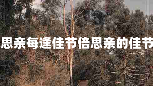 每逢佳節(jié)倍思親每逢佳節(jié)倍思親的佳節(jié)是什么節(jié)日 每逢佳節(jié)倍思親每逢佳節(jié)倍思親的佳節(jié)是什么節(jié)日