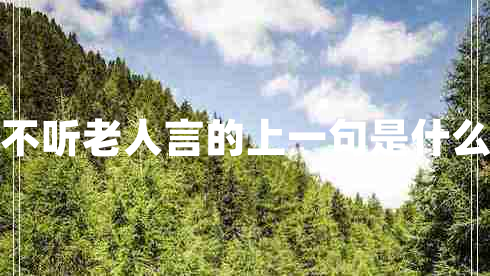 不聽老人言的上一句是什么