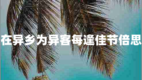 獨在異鄉(xiāng)為異客每逢佳節(jié)倍思親