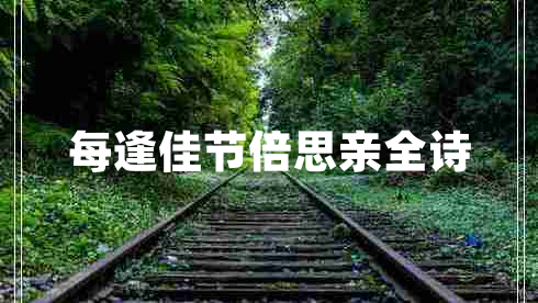 每逢佳節(jié)倍思親全詩