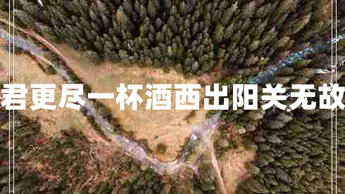 勸君更盡一杯酒西出陽(yáng)關(guān)無(wú)故人