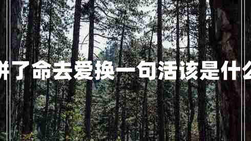 我拼了命去愛換一句活該是什么歌