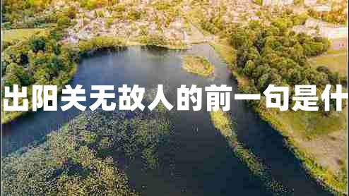 西出陽(yáng)關(guān)無(wú)故人的前一句是什么