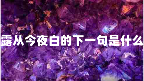 露從今夜白的下一句是什么