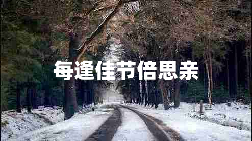 每逢佳節(jié)倍思親