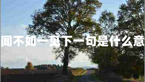 百聞不如一見下一句是什么意思