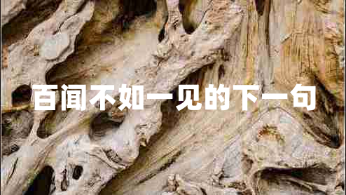 百聞不如一見的下一句