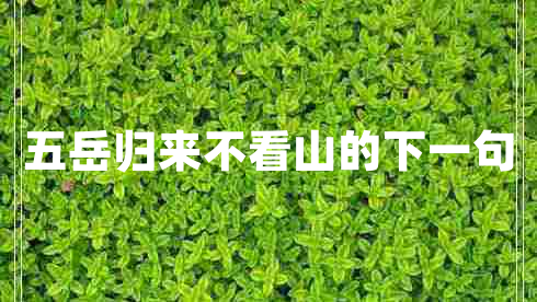 五岳歸來不看山的下一句