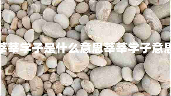 莘莘學子是什么意思莘莘學子意思