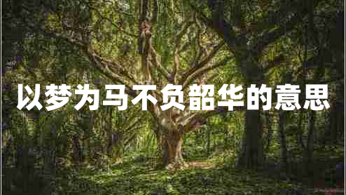 以夢為馬不負(fù)韶華的意思